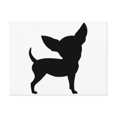 Funny Chihuahua Post Card by dogsandhorses
