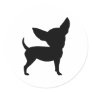 Funny Chihuahua