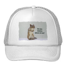 Funny Chipmunk Picture Hats