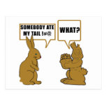 Funny Chocolate Easter Bunny Postcards