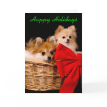 Funny Christmas Card - Pommies