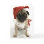 Funny Christmas Card - Puggy