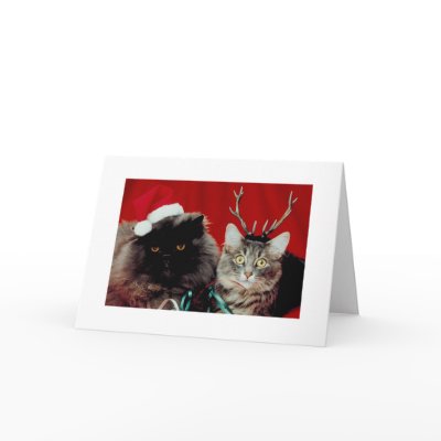 Funny Christmas Cards Humourous Holiday Cards by HolidayPostage