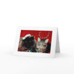 Funny Christmas Cards Humourous Holiday Cards