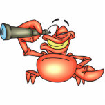 Funny Crab Spy photo sculptures