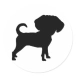 Funny Cute Big Head Puggle Dog