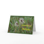 Funny Dandelion Birthday - change for any occasion