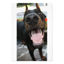 Funny Doberman Custom Invitations