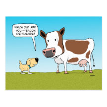 Funny Dog and Cow postcard