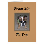 Funny Dog Birthday Card Card