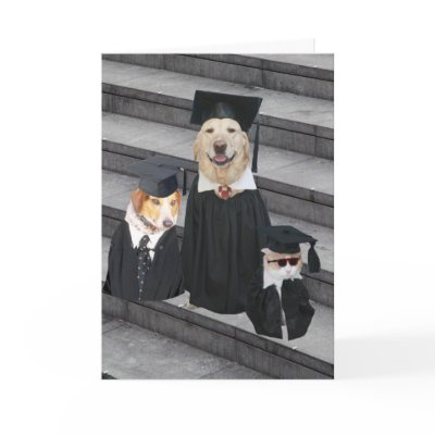 Funny Dog Graduation by myrtieshuman