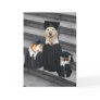 Funny Dog Graduation