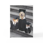 Funny Dog Graduation cards