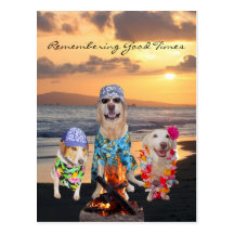Funny Dog Graduation Party on the Beach Postcard