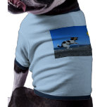 funny-dog-sign dog t shirt