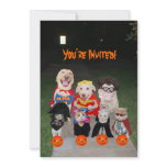 Funny Dogs & Cats Halloween