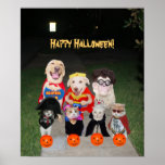 Funny Dogs & Cats Halloween