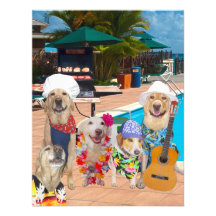 Funny Dogs Customizable Pool Party/BBQ Invitation