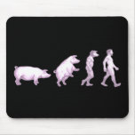 Funny evolution of pigs