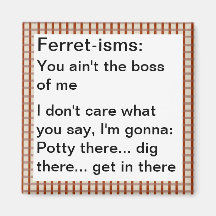 Funny Ferret-ism Quotes Refrigerator Magnet