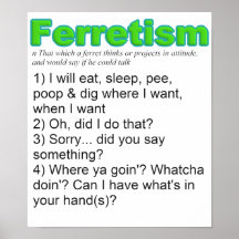Funny Ferrets Print