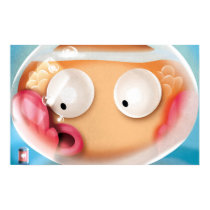 Funny Fish Poster posters