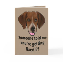 Funny Get well card for dogs