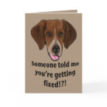 Funny Get well card for dogs