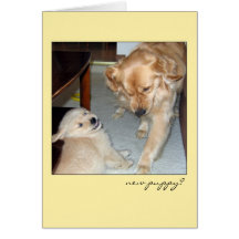 Funny Golden Retriever "New Puppy" Card