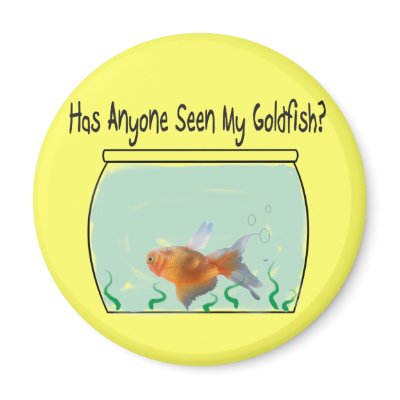 Funny Goldfish and Bowl Fridge Magnets by ProfessionalDesigns