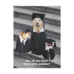 Funny Graduation Customizable Announcement Postcar