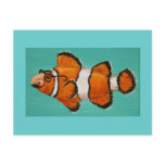 funny groucho masked clown fish postcard