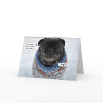 Funny Grumpy Pug Christmas Card