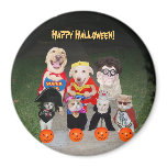 Funny Halloween Dogs & Cats