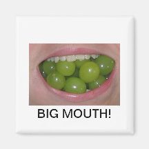 Funny happy stuffed mouth photo big mouth refrigerator magnets