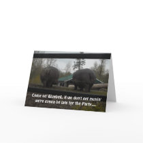 Funny Hippopotamus Birthday Greeting
