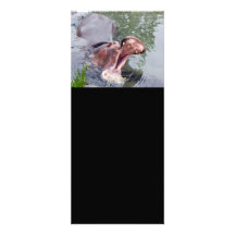 Funny Hippopotamus Photography Custom Invitations