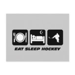 Funny hockey