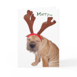 Funny Holiday Greetings from the Dog Greeting Cards