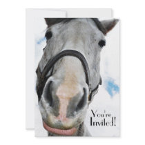 Funny Horse Face for Party or  Equestrian Event