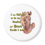 Funny Horse