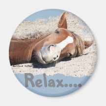 Funny Horse: Relax Magnets