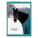Funny Horse Sends Bronx Cheer Card