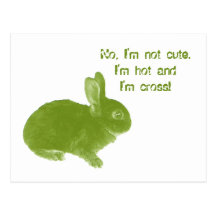 Funny Hot Cross Bunny Post Cards