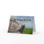 Funny Humorous Giant Sea Turtle Happy Birthday Card