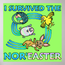 Funny I Survived the Nor'Easter Posters