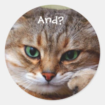Funny Kitty Stickers
