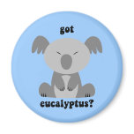 Funny Koala Bear