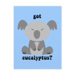 Funny Koala Bear