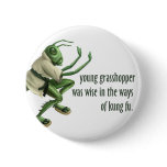 Funny Kung Fu Grasshopper